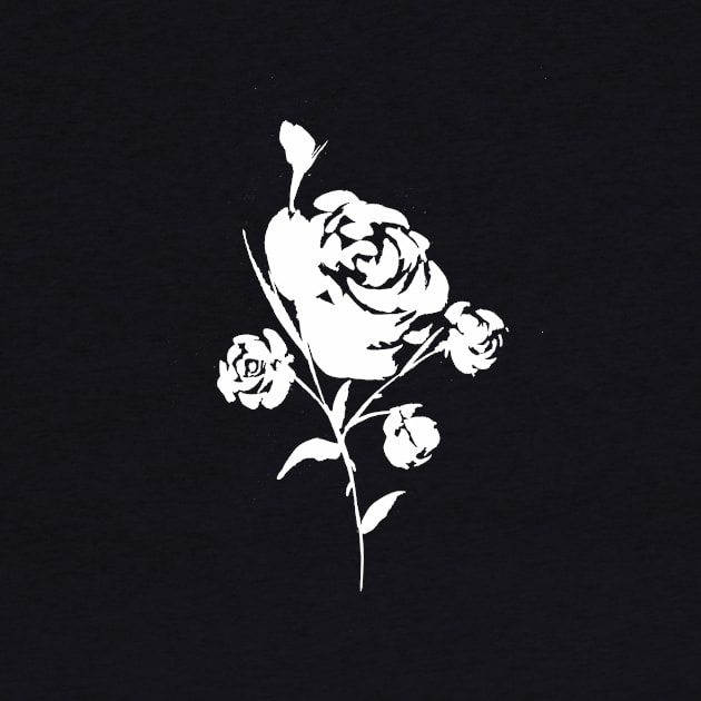 White Rose on Black by ZeichenbloQ